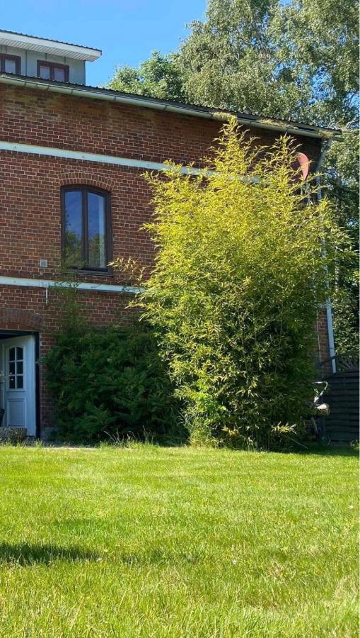 Natur Hof Fehmarn Extérieur photo